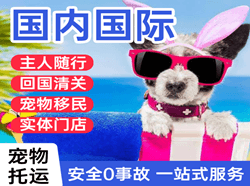 厦门机场物流国际宠物托运 【国